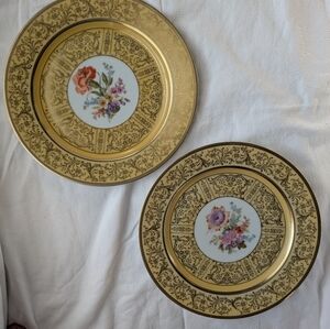 Tirschenreuth Floral Gold Detail Yellow Rim Dinner Plates - 2